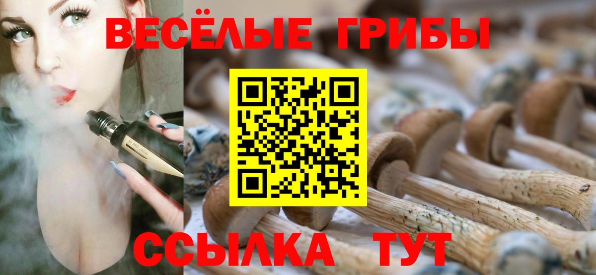 Наро-Фоминск  купить наркотики цена  Вход с VPN  Галлюциногенные грибы Magic Shrooms 